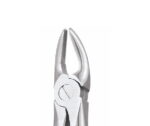 Extracting Forceps, Upper Premolars, No. 7