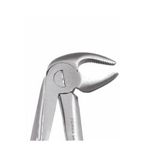 Extracting Forceps, Lower Premolars, No.13