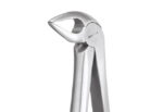 Extracting Forceps, Lower Roots, No. 33