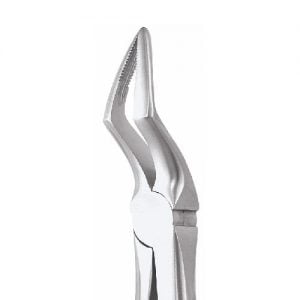 Extracting Forceps, Upper Roots, No. 51