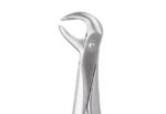Extracting Forceps, Lower Premolars, No. 73