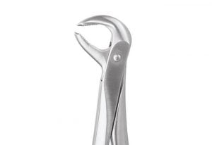 Extracting Forceps, Lower Premolars, No. 73