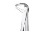 Extracting Forceps, Lower Roots, No. 74N
