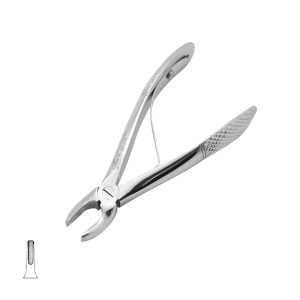 upper incisiors forceps