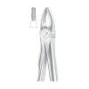 Extracting Forcep, Upper Lateral and Canines