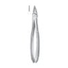 Extracting Forcep, Upper Roots
