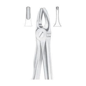Extracting Forcep,Upper Incisors and Canines