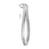 Extracting Forcep, Lower Roots, for Children