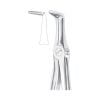 Extracting Forcep, Lower Roots