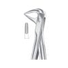 Extracting Forcep, Lower Roots