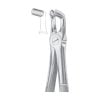 Extracting Forcep, Lower Third Molars