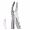 Extracting Forceps No.7