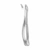 Upper incisors, premolars, roots